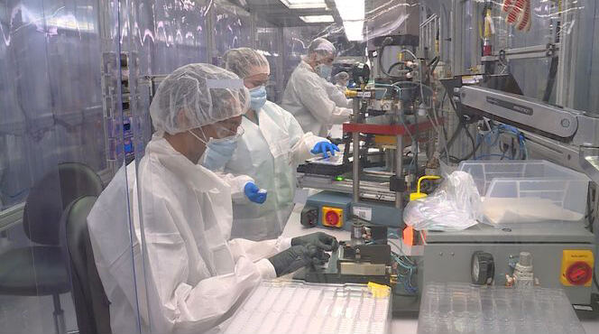 Laboratory & Diagnostics